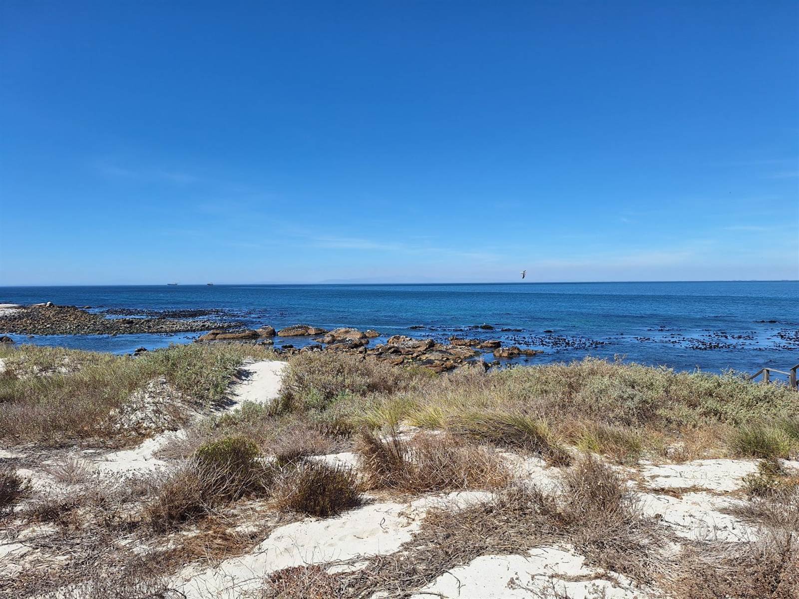 554 m² Land available in Shelley Point photo number 3