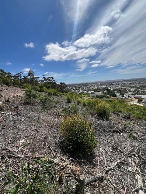 1677 m² Land available in Bredasdorp photo number 7
