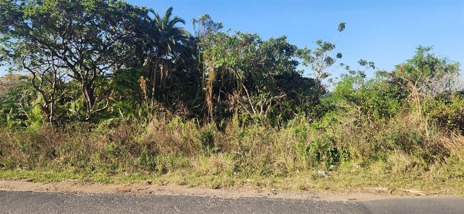 1639 m² Land available in Palm Beach photo number 5