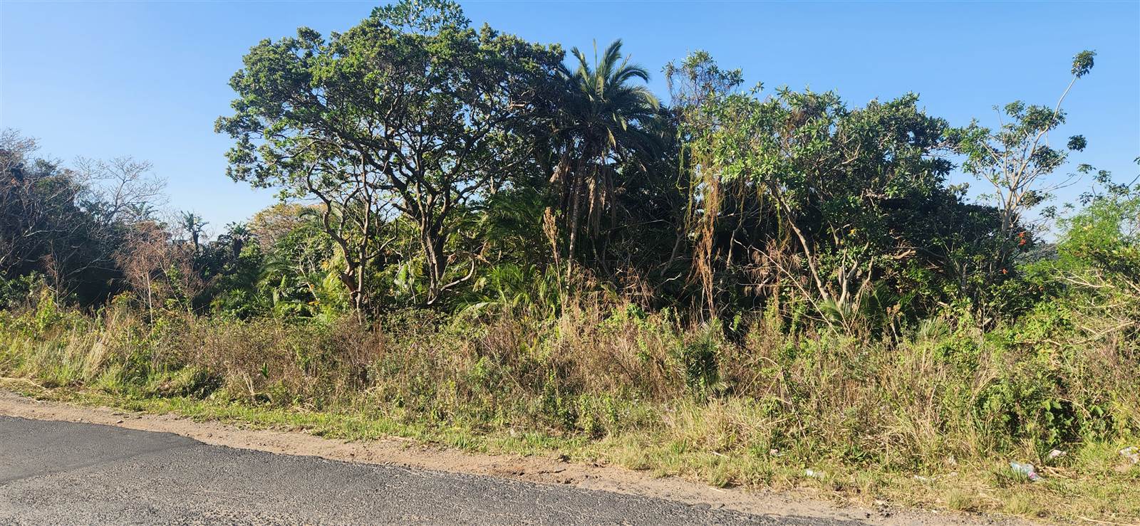 1639 m² Land available in Palm Beach photo number 4
