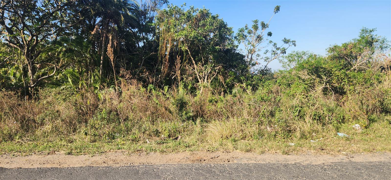 1639 m² Land available in Palm Beach photo number 12