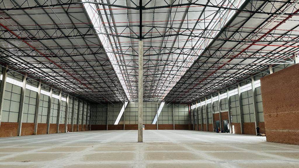 5201  m² Industrial space in Louwlardia photo number 5