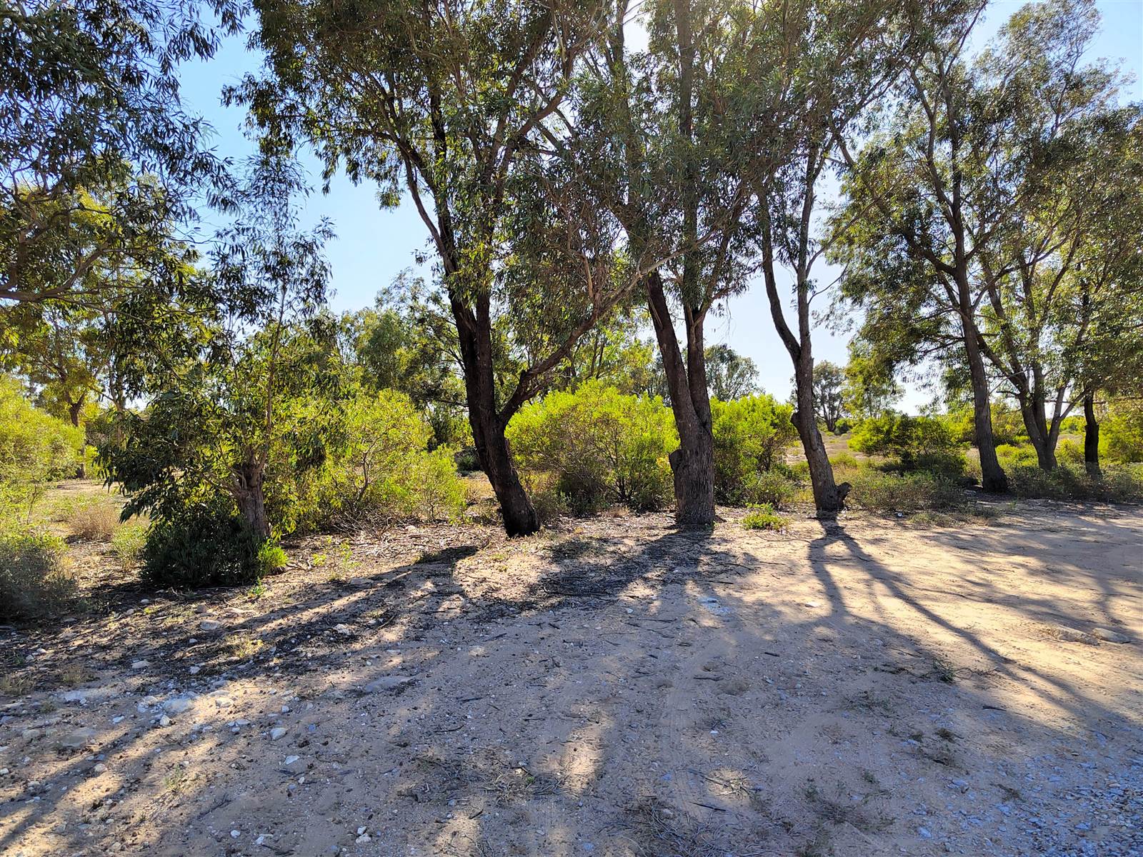 400 m² Land available in Britannia Bay photo number 6