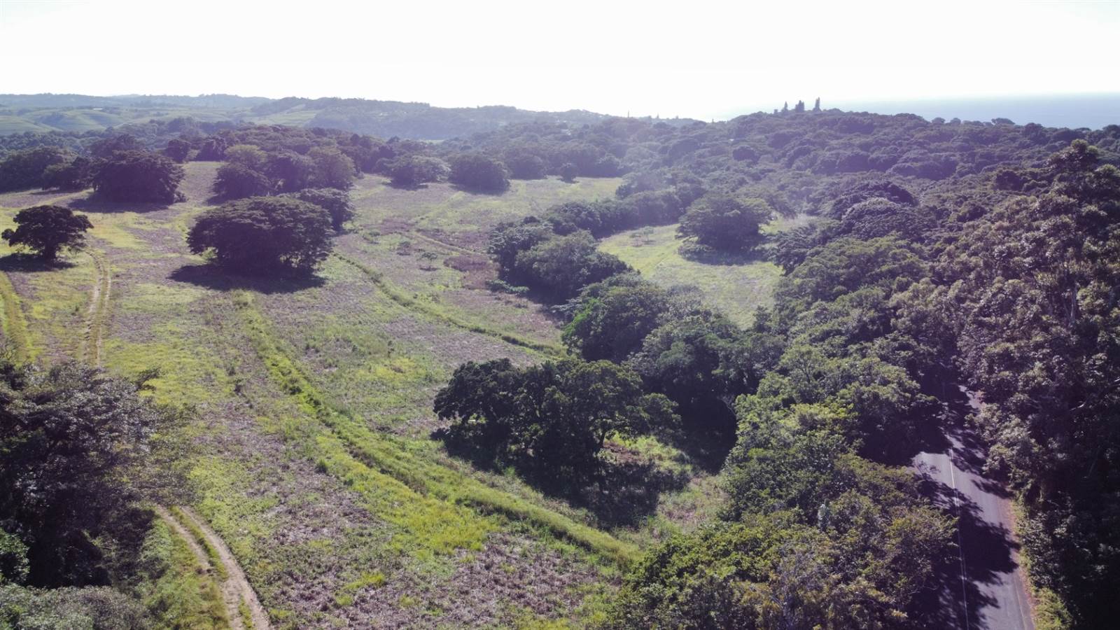104 ha Land available in Umtentweni photo number 26
