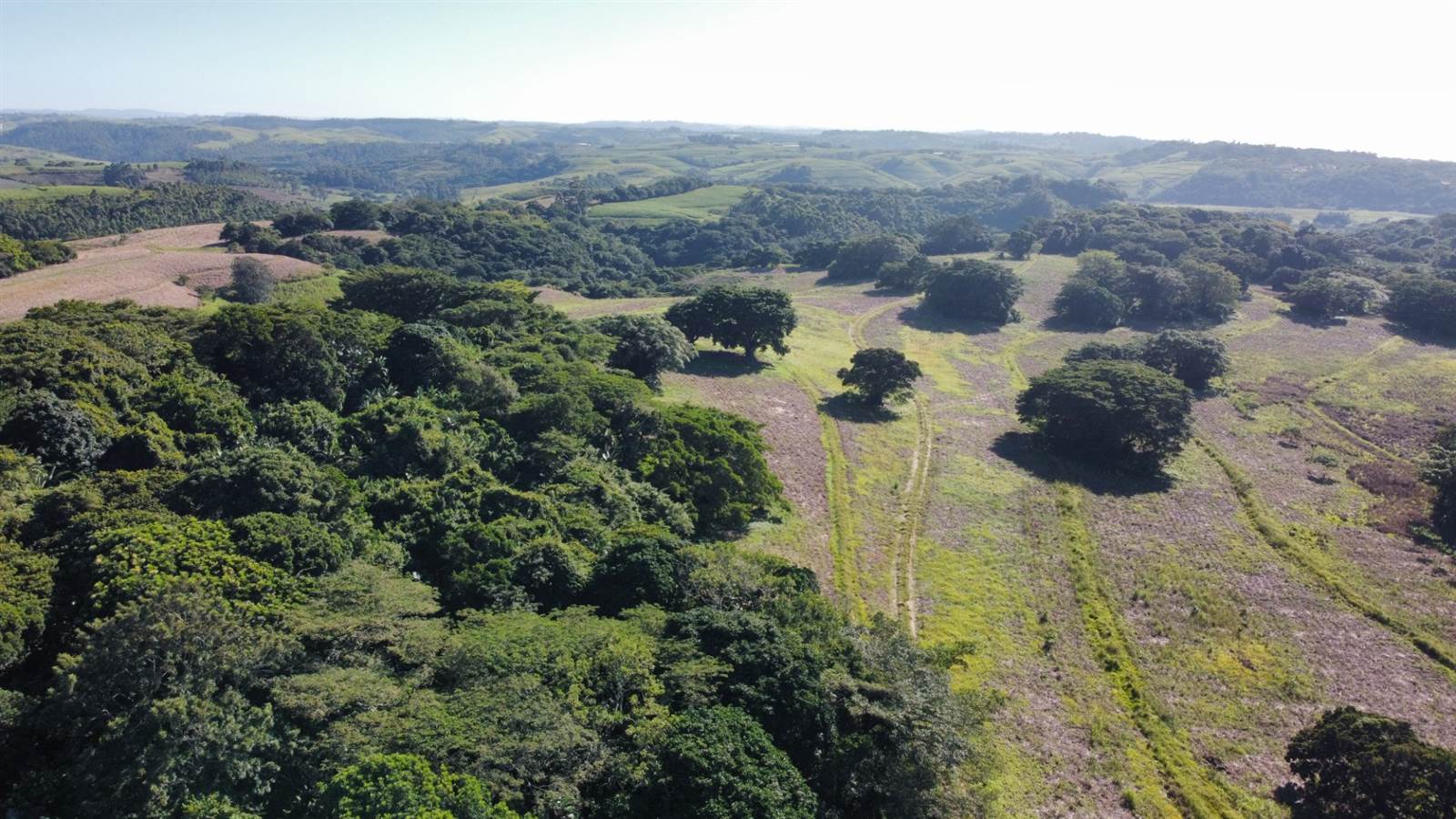 104 ha Land available in Umtentweni photo number 14