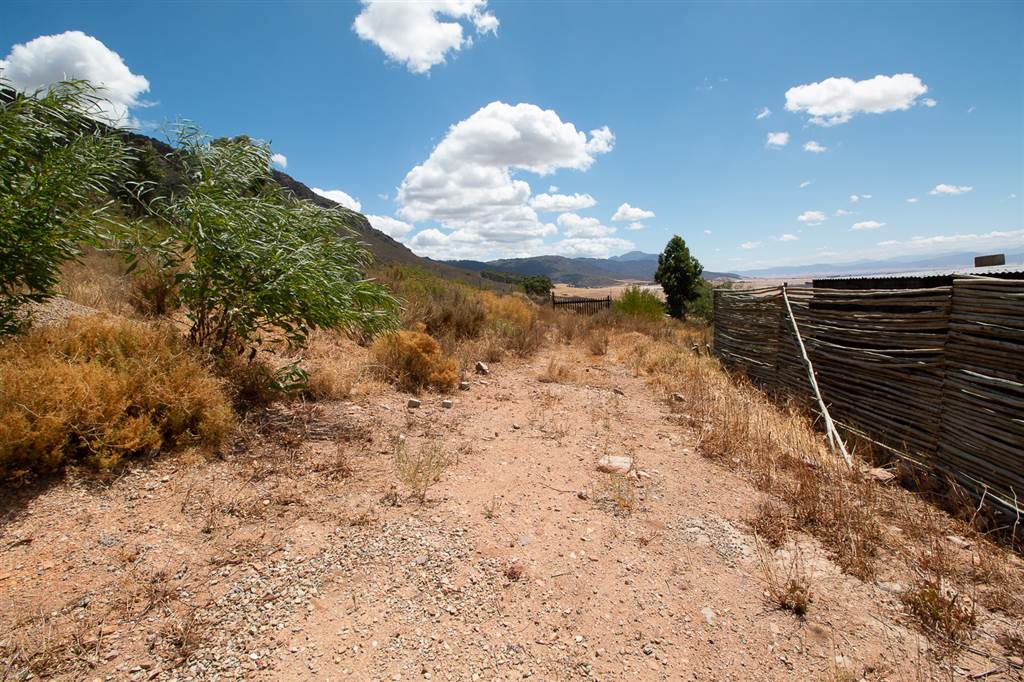 1069 m² Land available in Piketberg photo number 5