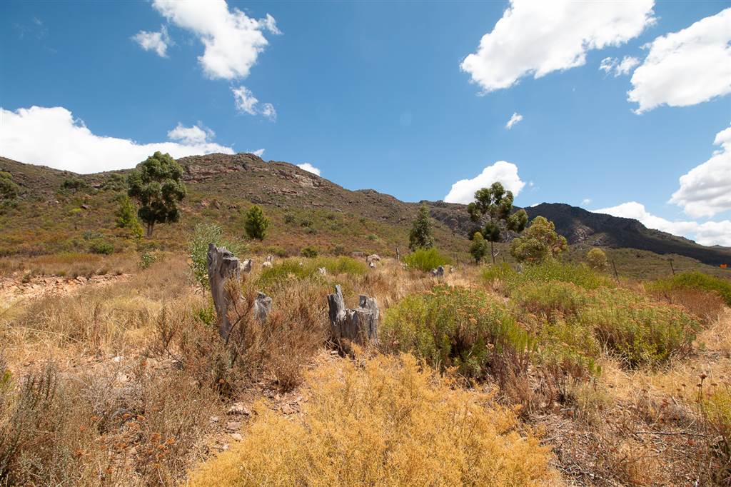 1069 m² Land available in Piketberg photo number 4