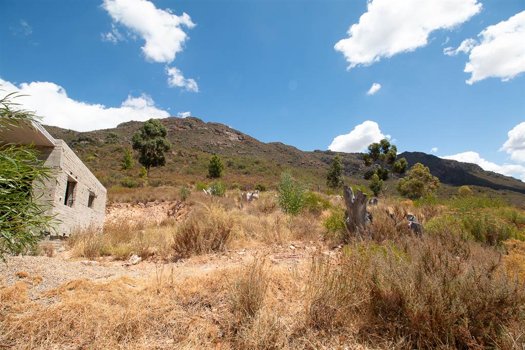 1069 m² Land available in Piketberg photo number 6