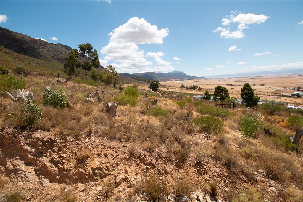 1069 m² Land available in Piketberg photo number 11