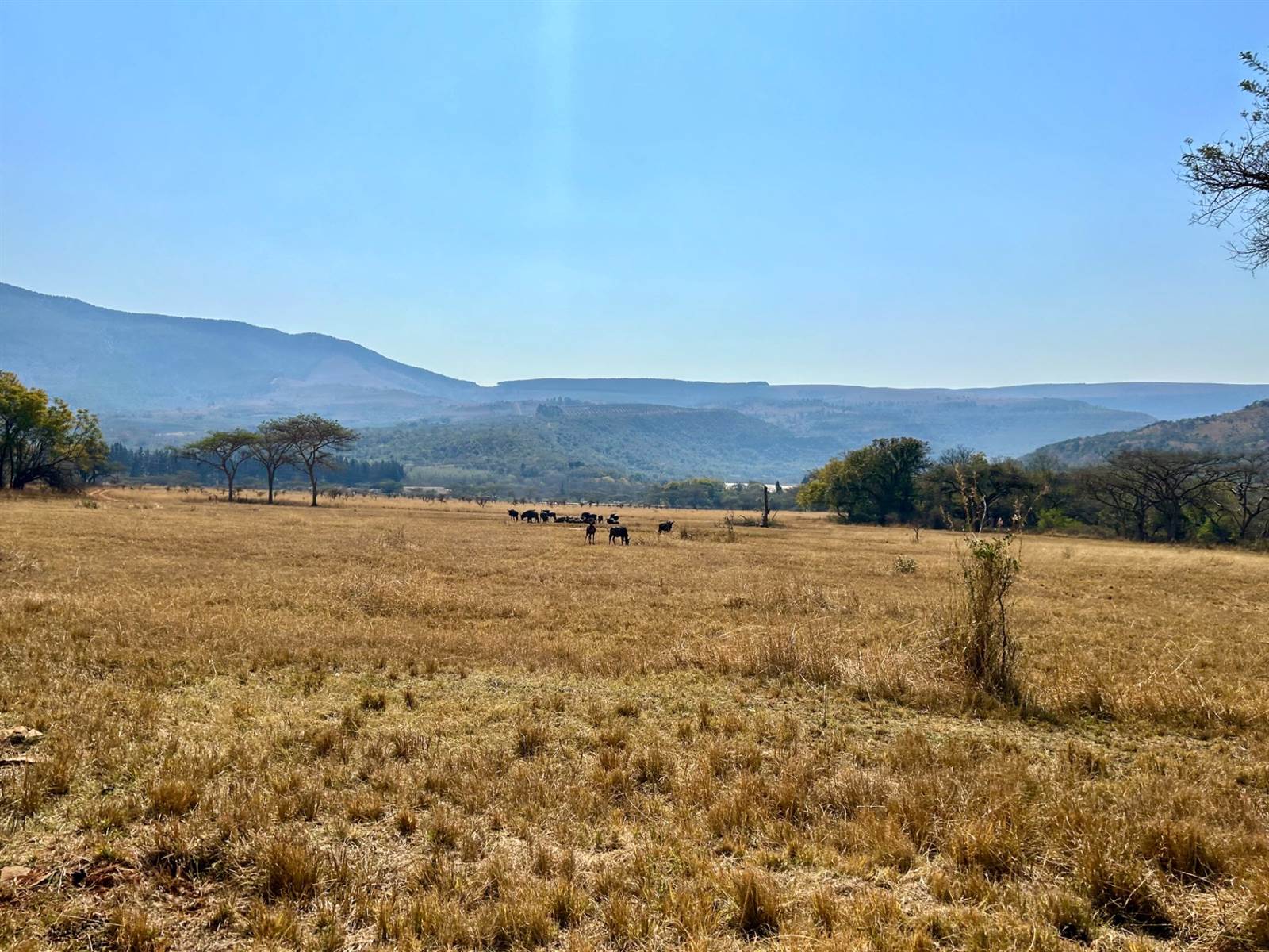 1000 m² Land available in Nelspruit photo number 2