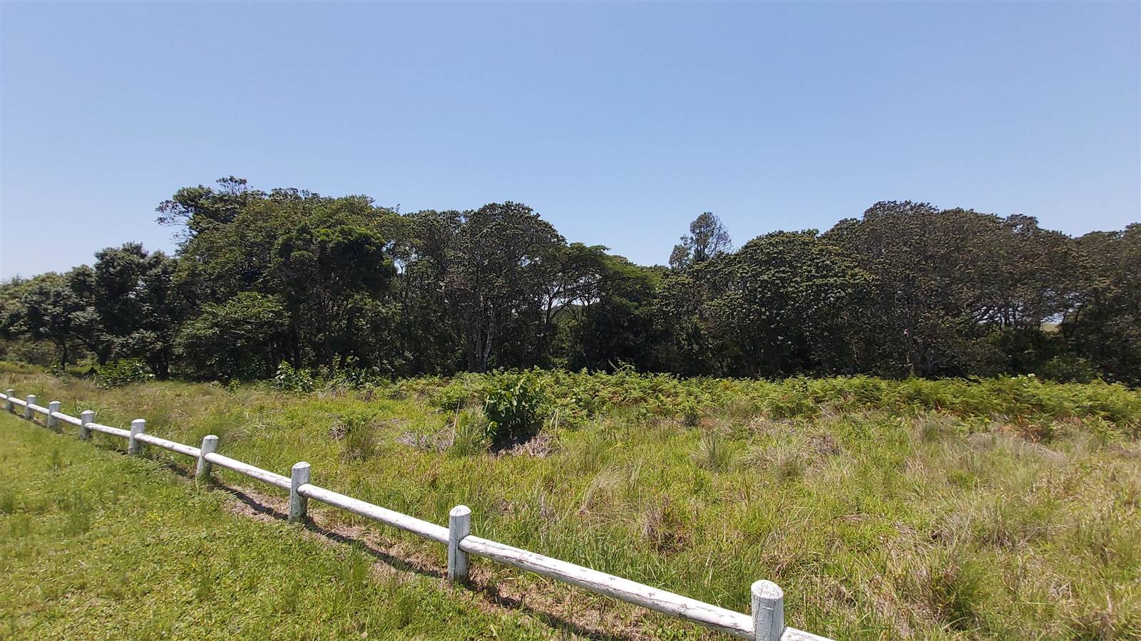 1249 m² Land available in Eshowe photo number 5