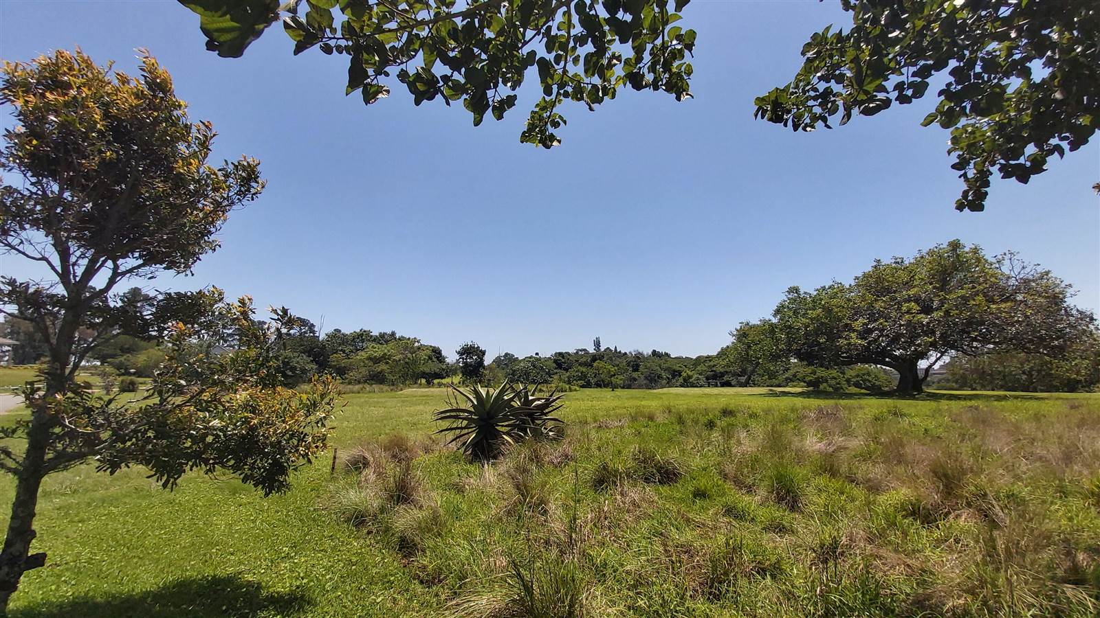 1249 m² Land available in Eshowe photo number 3