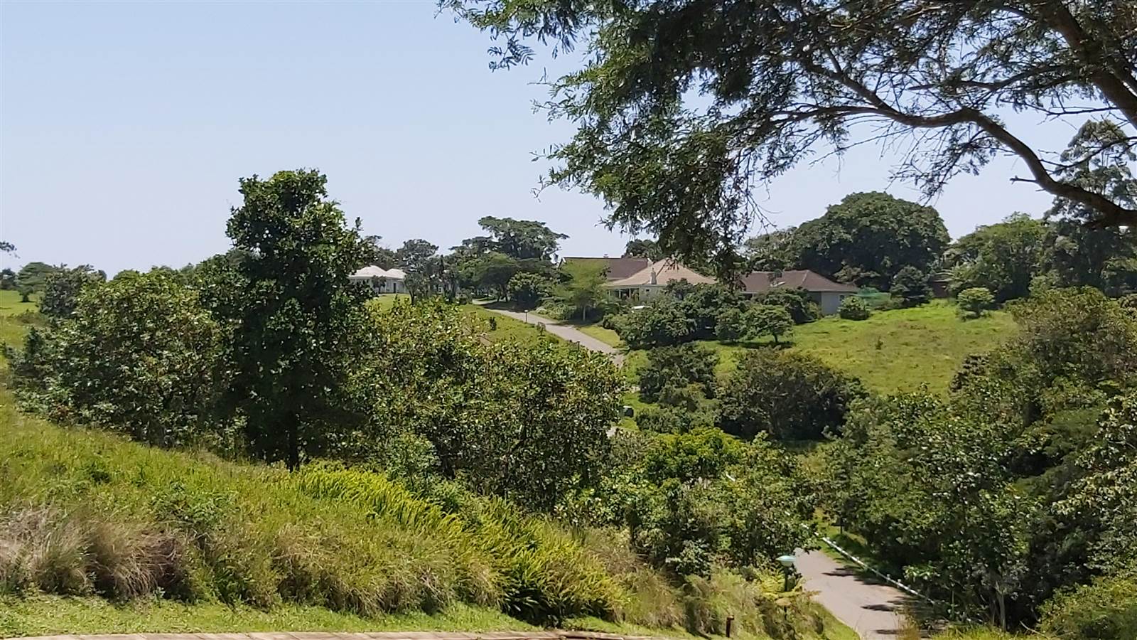 1249 m² Land available in Eshowe photo number 4
