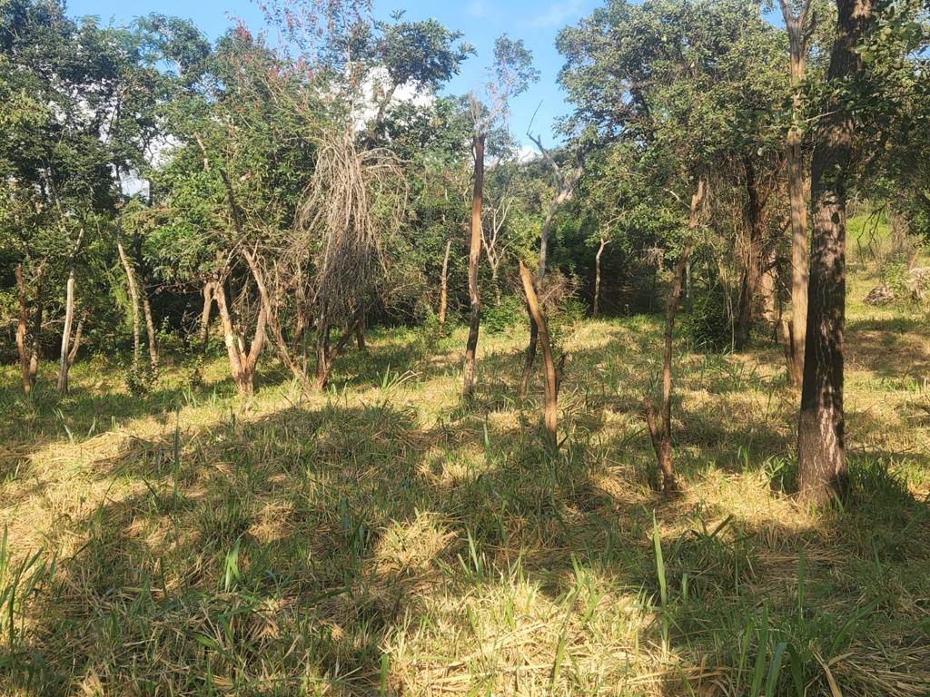 2 ha Land available in Tzaneen photo number 8