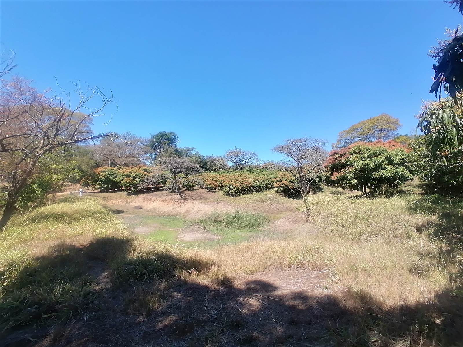 2 ha Land available in Tzaneen photo number 2