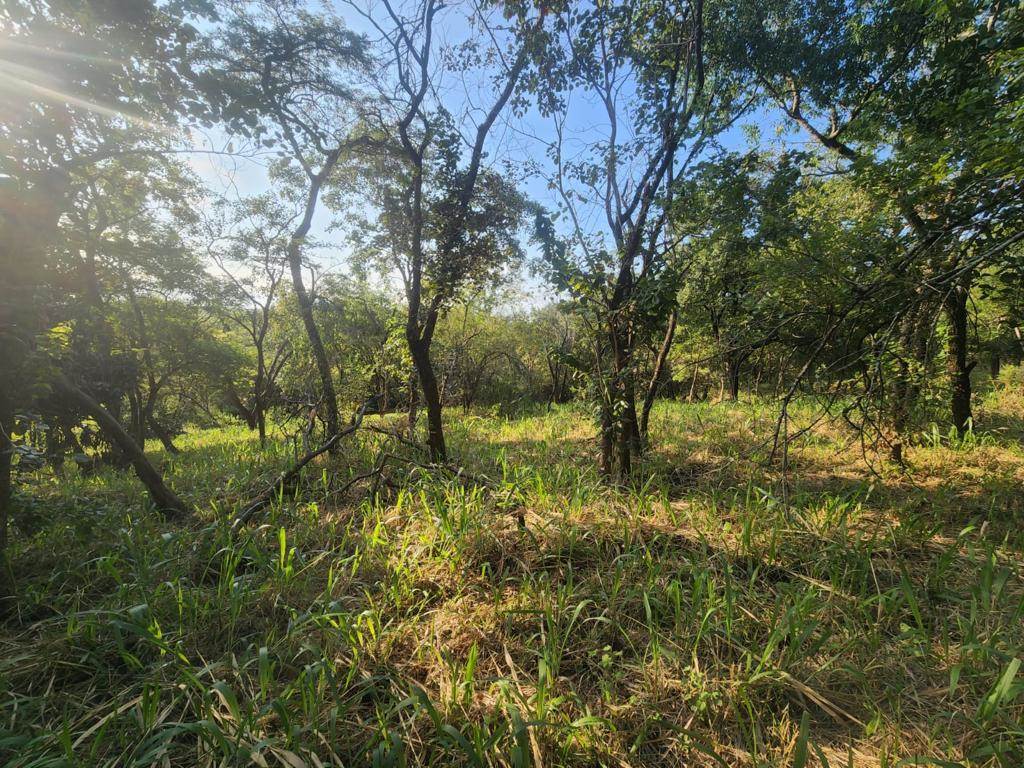 2 ha Land available in Tzaneen photo number 4
