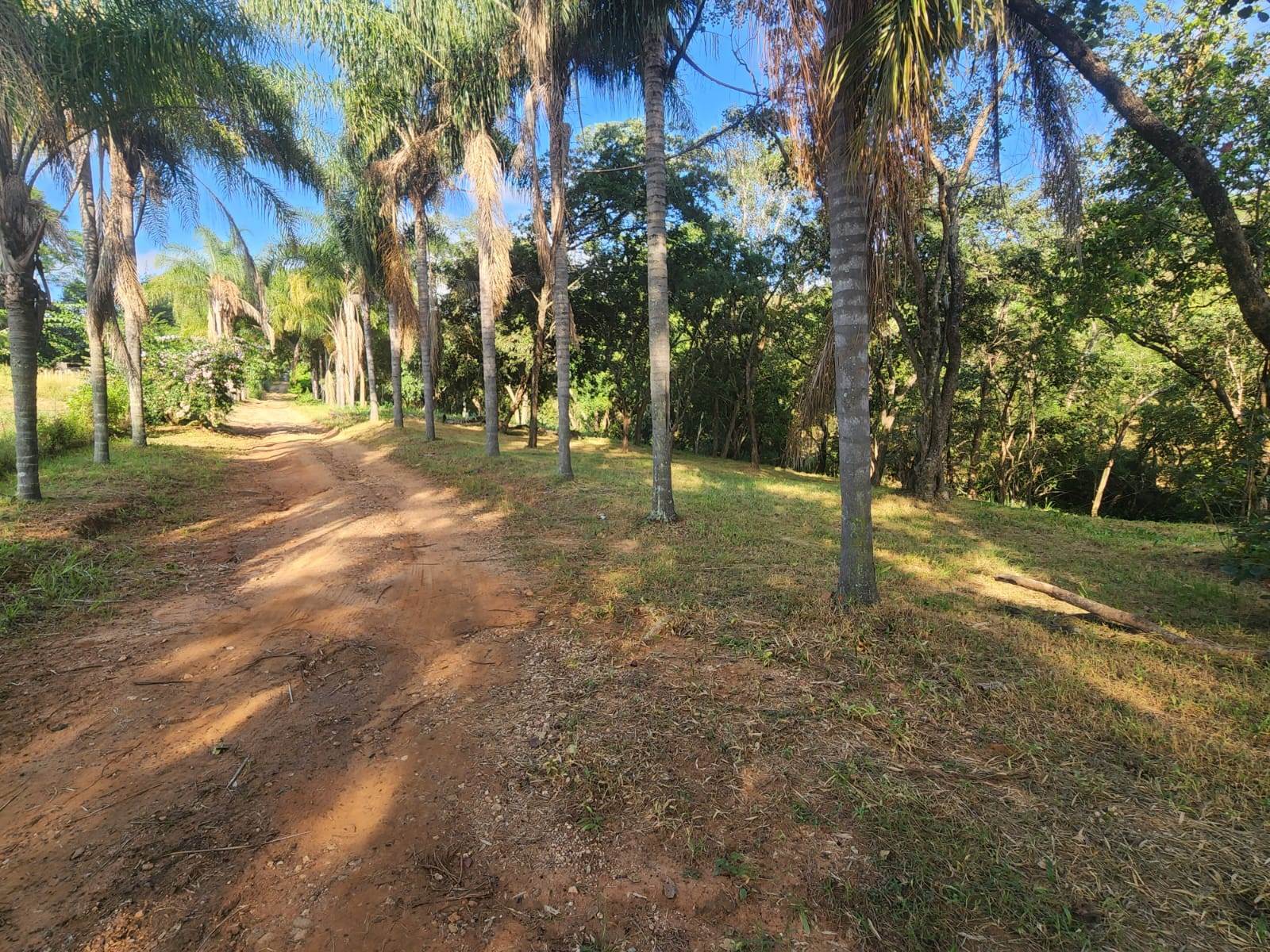 2 ha Land available in Tzaneen photo number 3