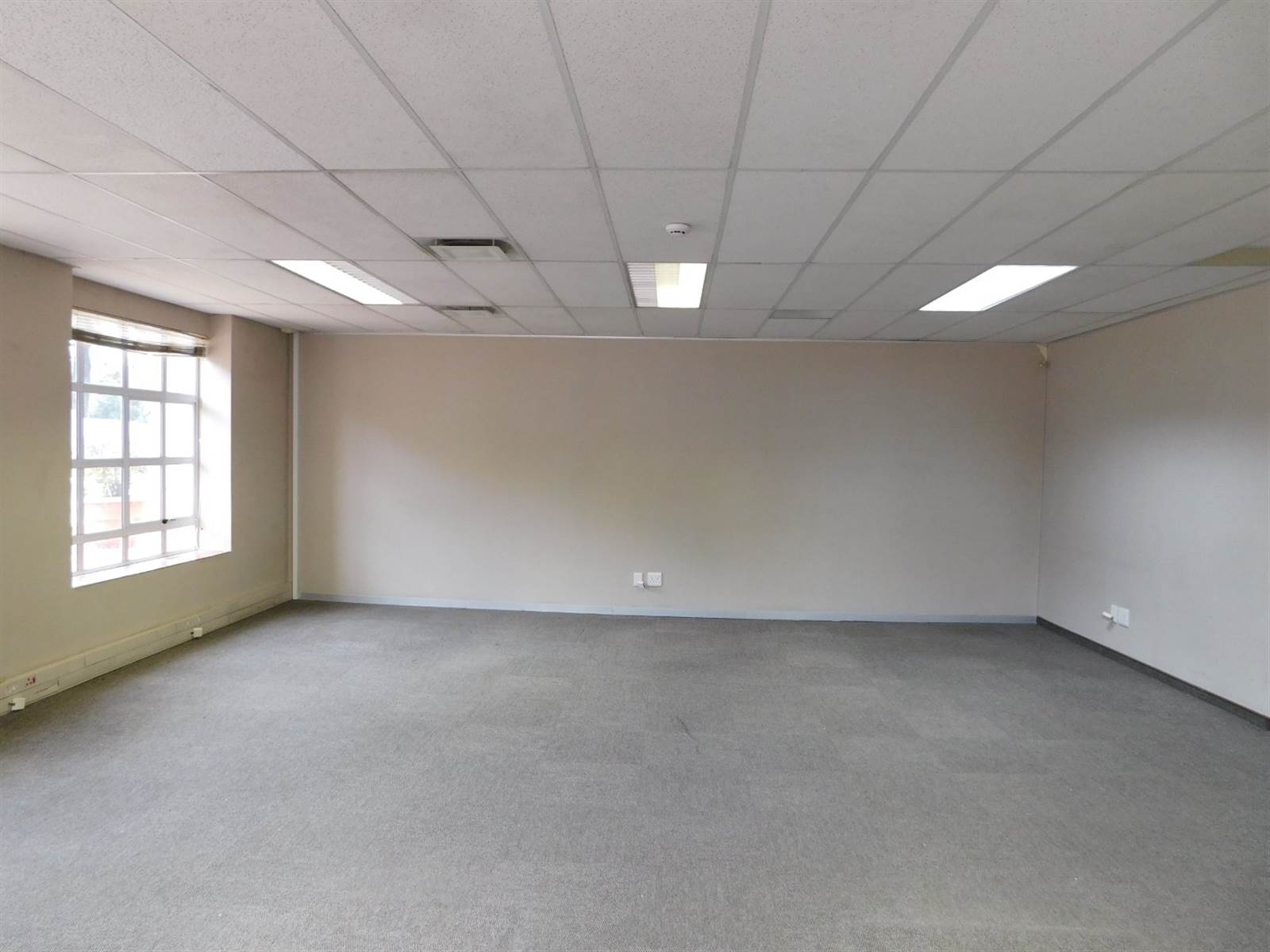 260  m² Office Space in Ferndale photo number 6