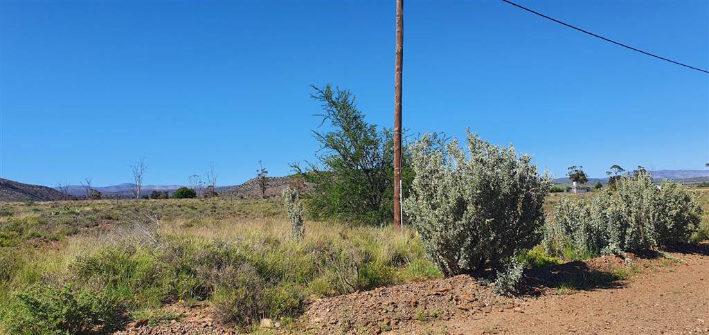 1.1 ha Land available in Willowmore photo number 7
