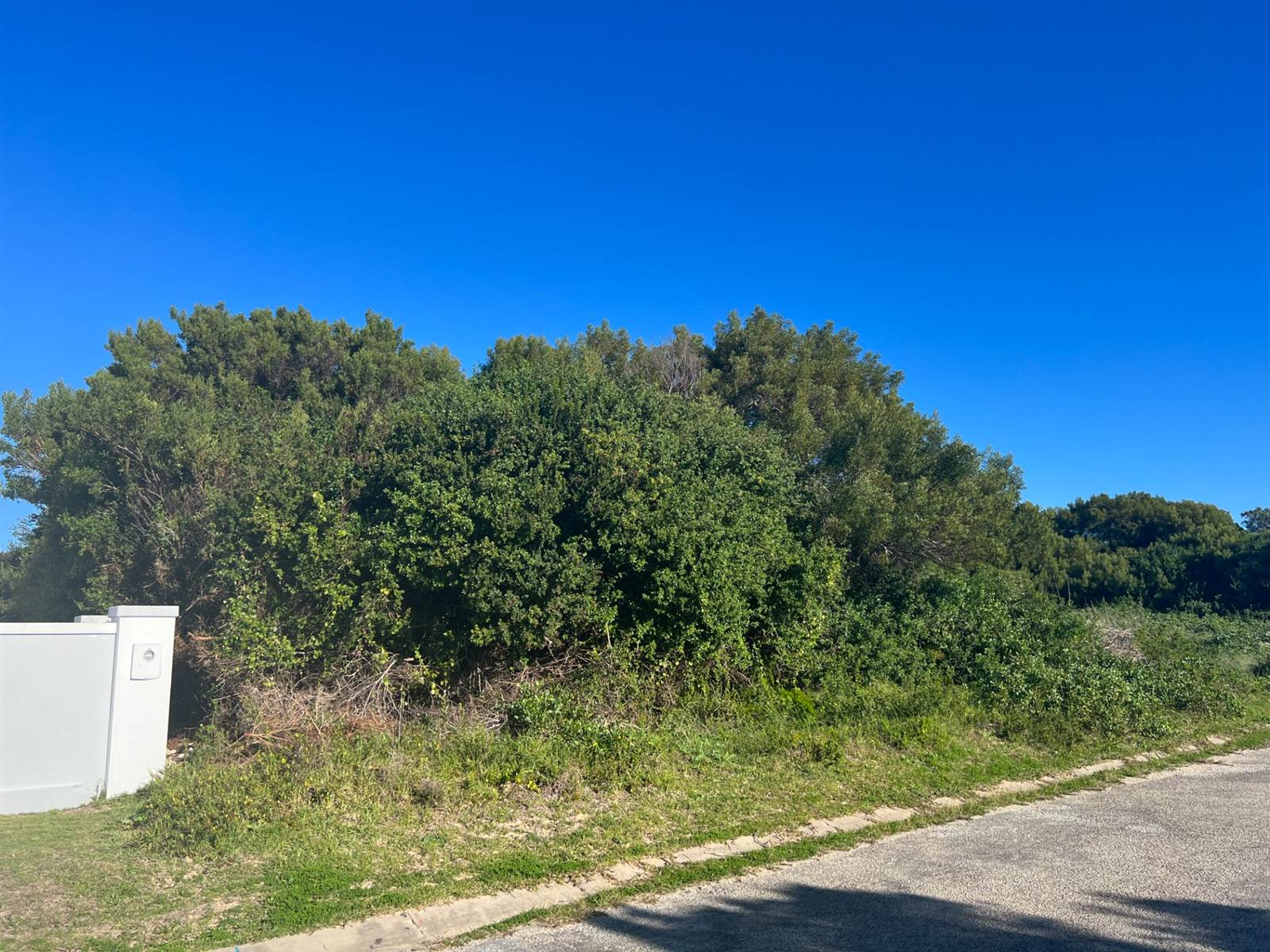 764 m² Land available in St Francis On Sea photo number 4