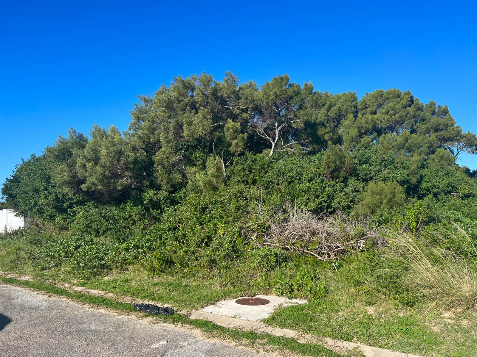 764 m² Land available in St Francis On Sea photo number 3