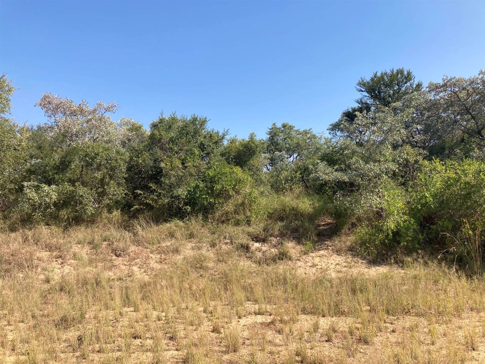9134 m² Land available in Moditlo Nature Reserve photo number 3