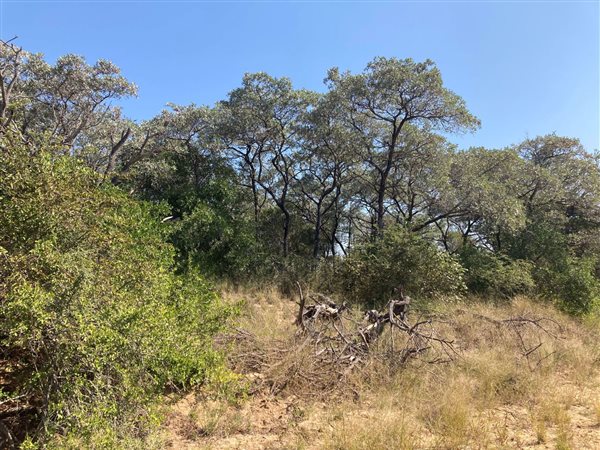 9134 m² Land available in Moditlo Nature Reserve