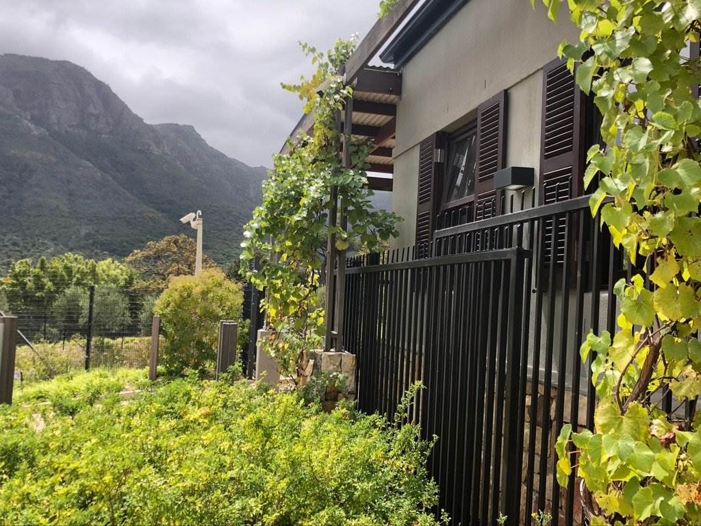 1378 m² Land available in Constantia Nek Estate photo number 6