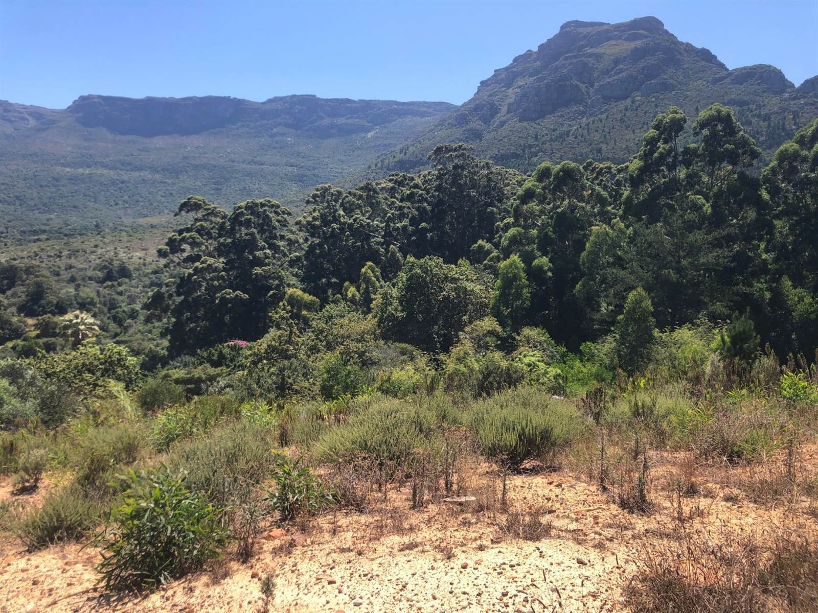 1378 m² Land available in Constantia Nek Estate photo number 11