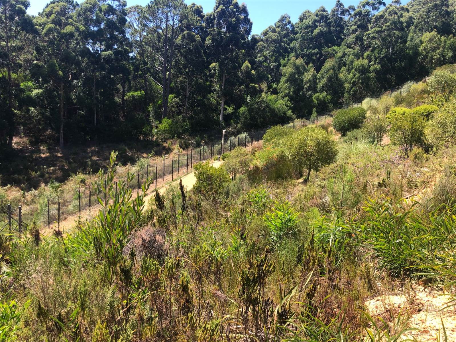 1378 m² Land available in Constantia Nek Estate photo number 12