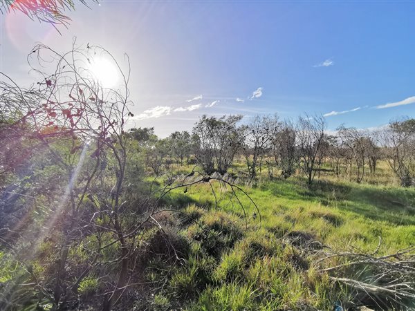 1127 m² Land available in Fairview