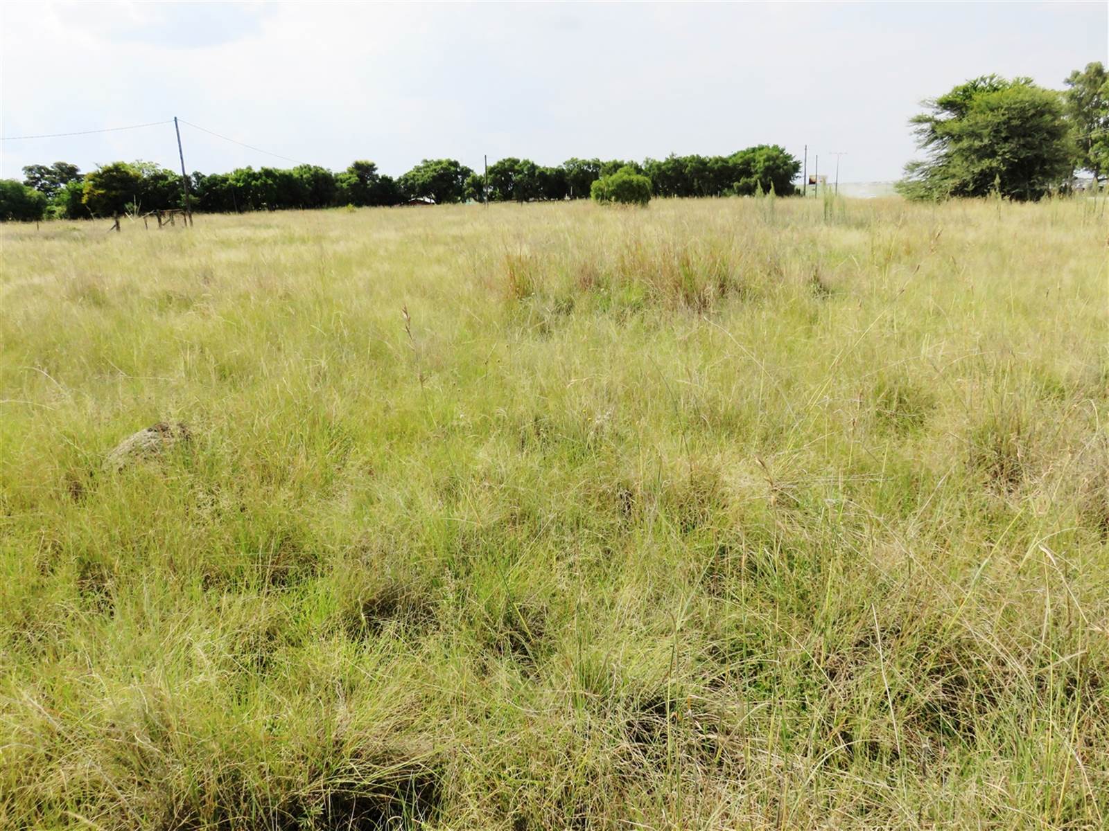 2125 m² Land available in Oranjeville photo number 2