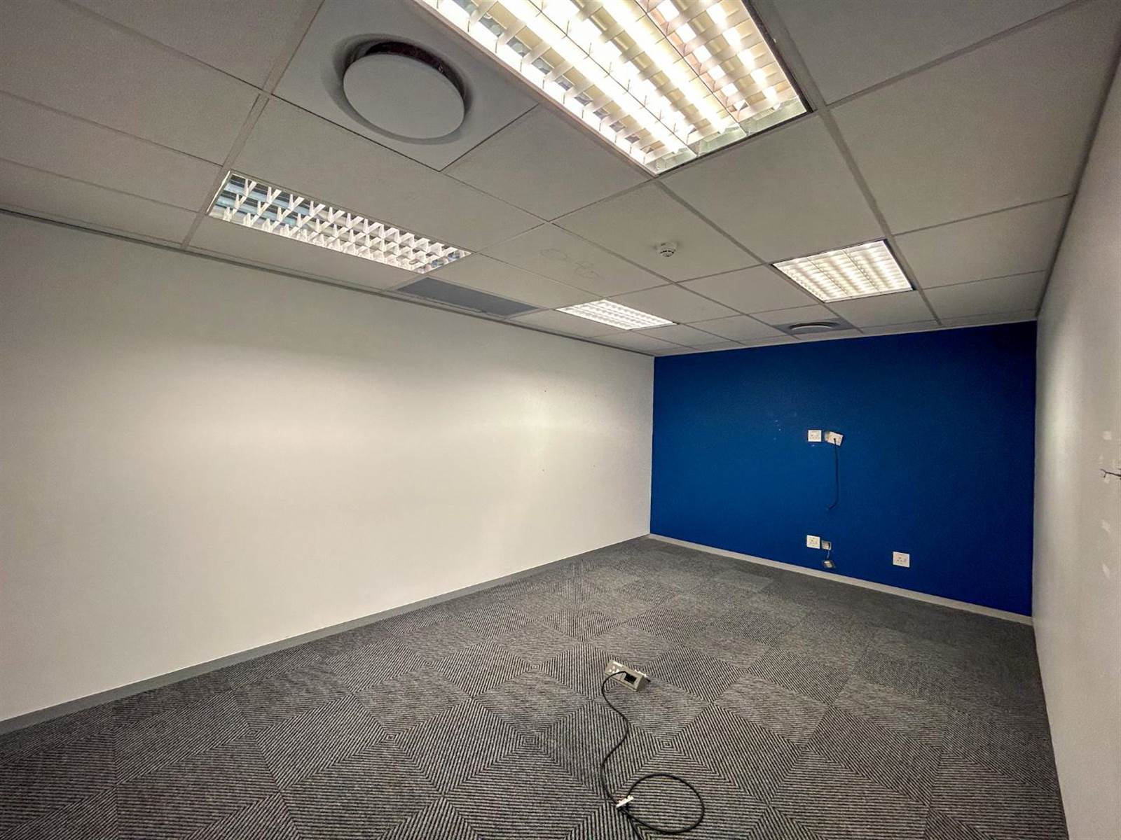 392.62  m² Office Space in Somerset Park photo number 7