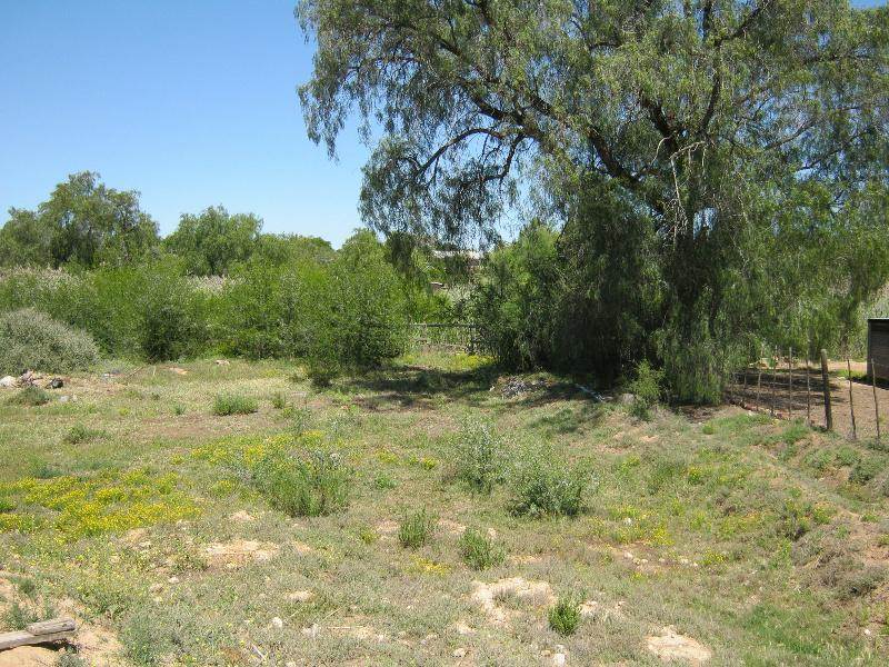 9706 m² Land available in Oudtshoorn photo number 11
