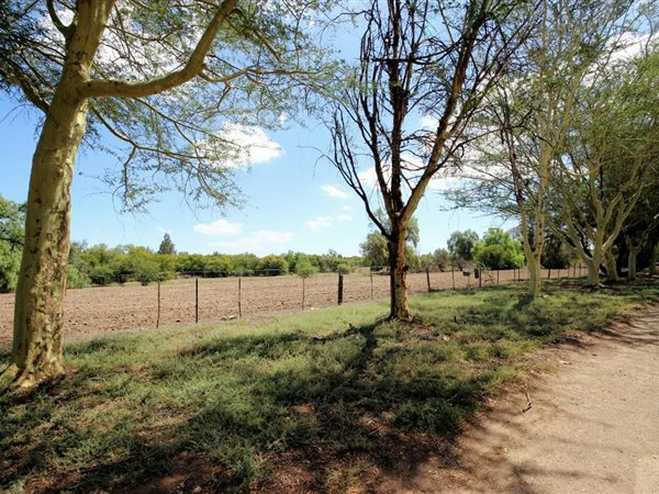 9706 m² Land available in Oudtshoorn