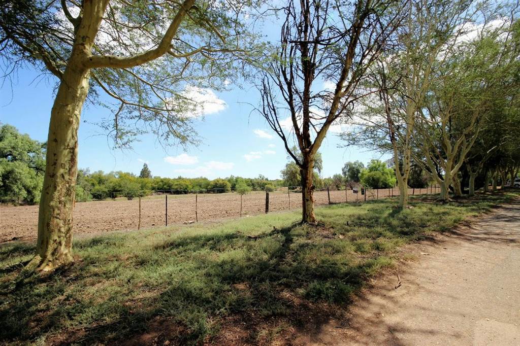 9706 m² Land available in Oudtshoorn photo number 1