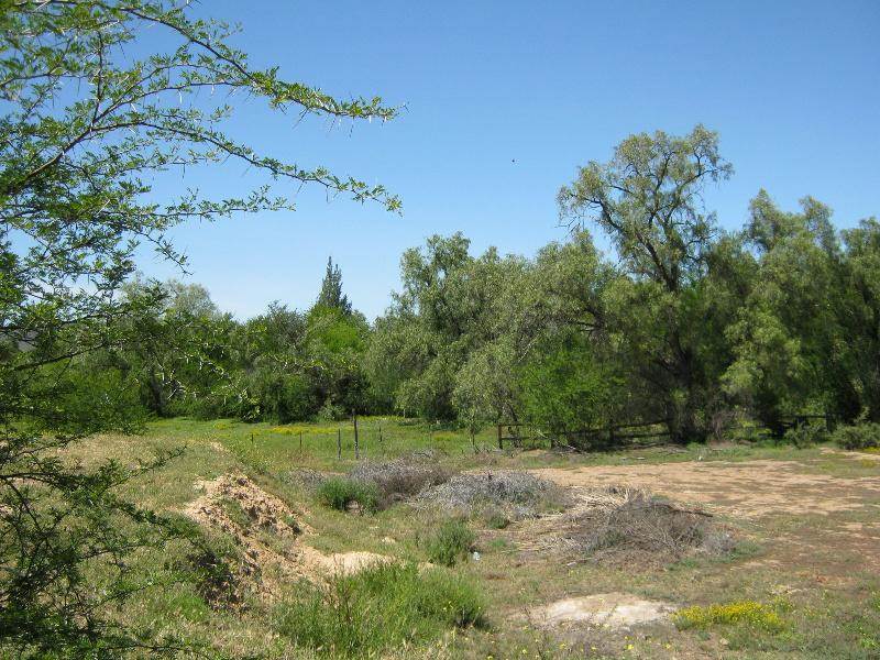 9706 m² Land available in Oudtshoorn photo number 12