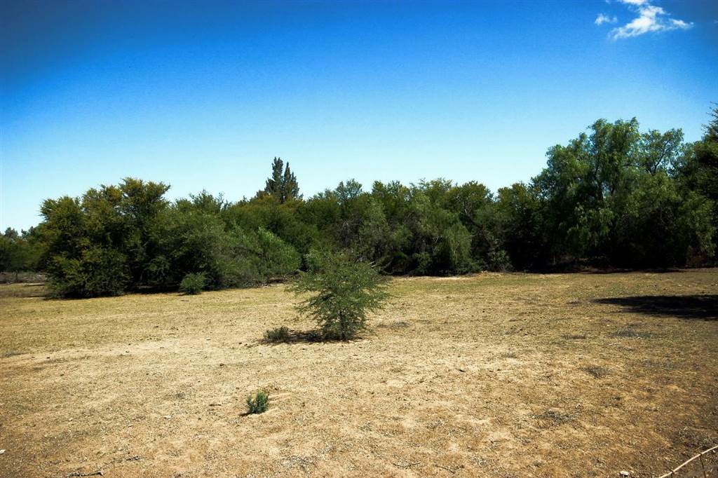 9706 m² Land available in Oudtshoorn photo number 5