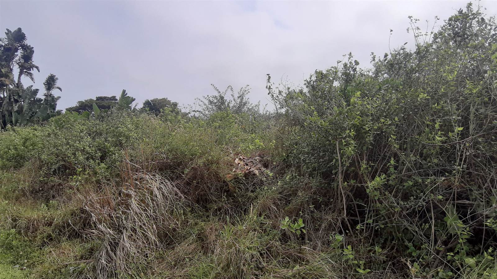 1298 m² Land available in Hibberdene photo number 10