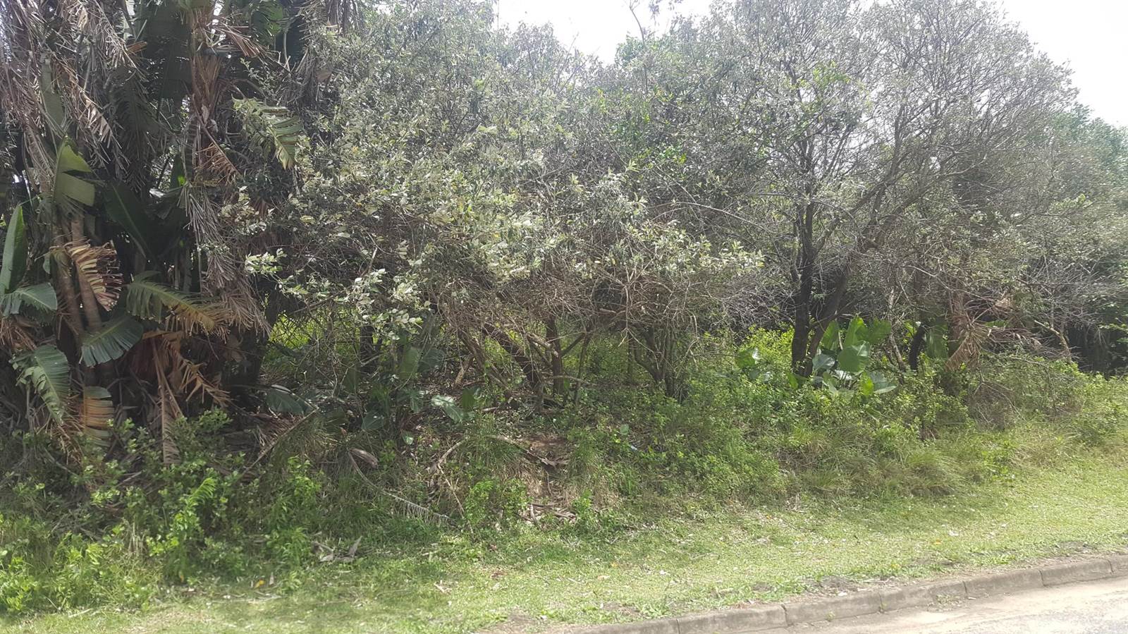 1298 m² Land available in Hibberdene photo number 3