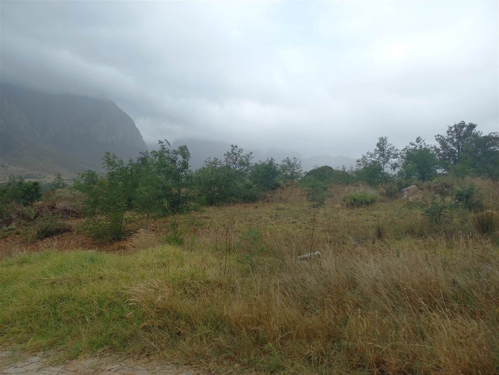 536 m² Land available in Pniel photo number 5