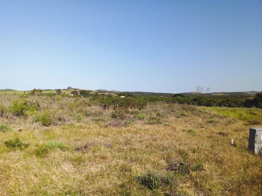 1371 m² Land available in Forest Downs photo number 4