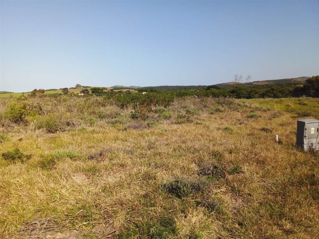 1371 m² Land available in Forest Downs photo number 3