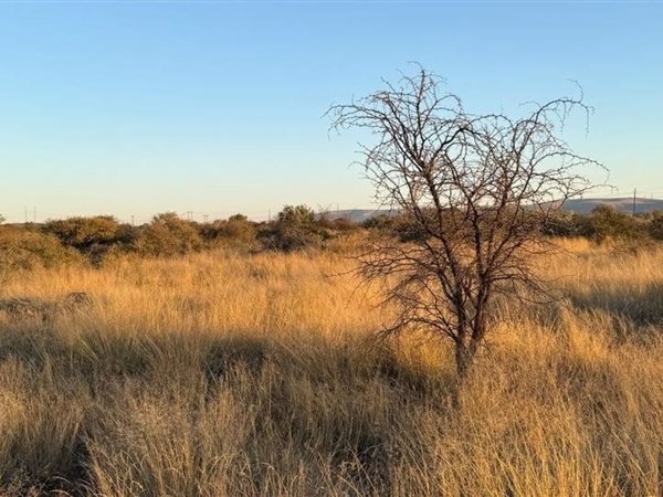 2 593 m² Land