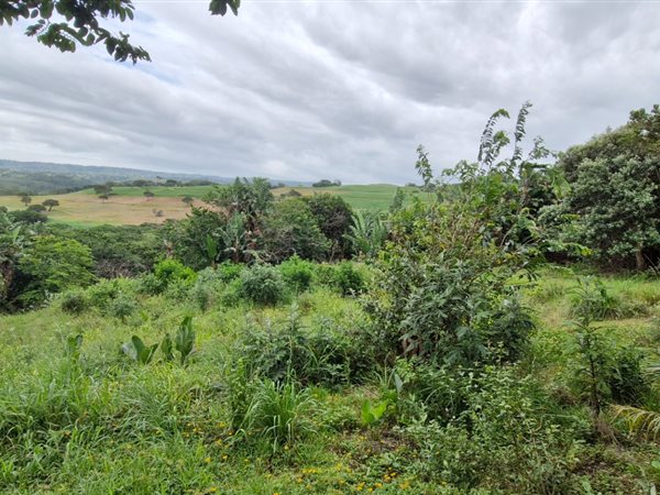 1 154 m² Land