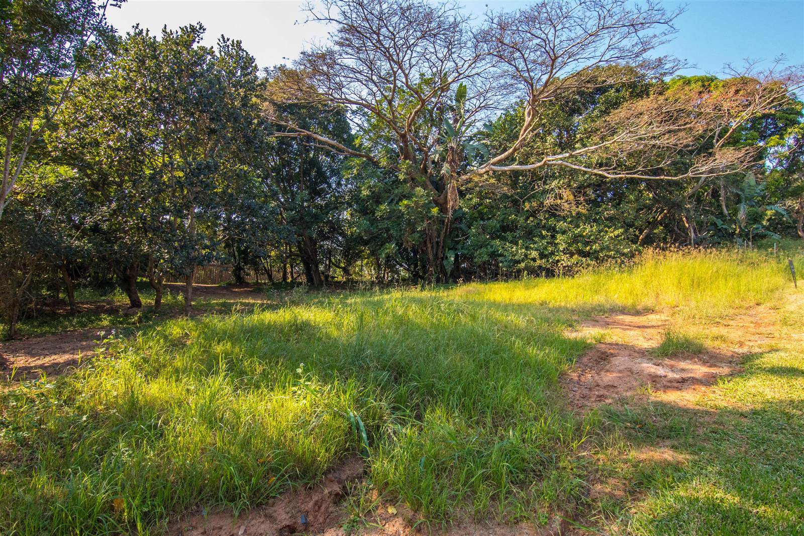 1040 m² Land available in Simbithi Estate photo number 3