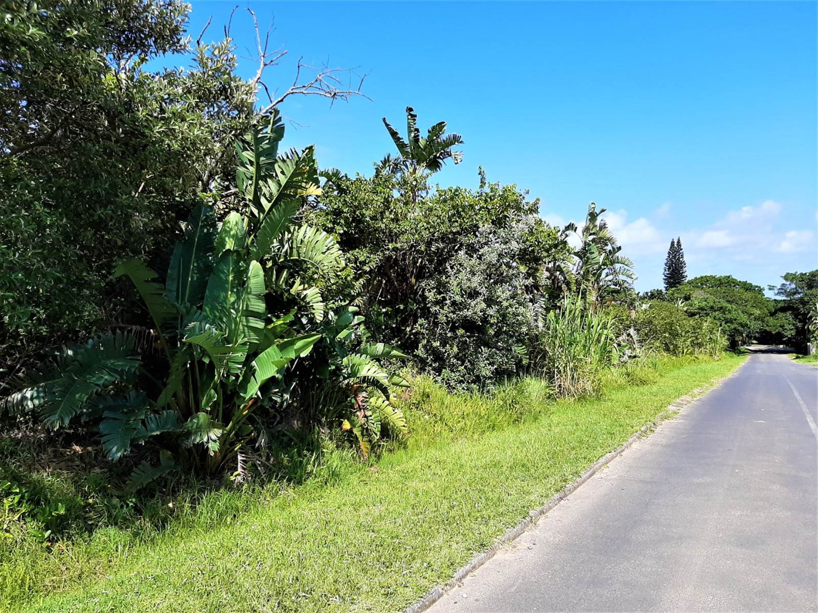 1969 m² Land available in Port Edward photo number 4