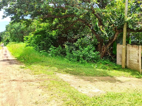 2003 m² Land available in Palm Beach