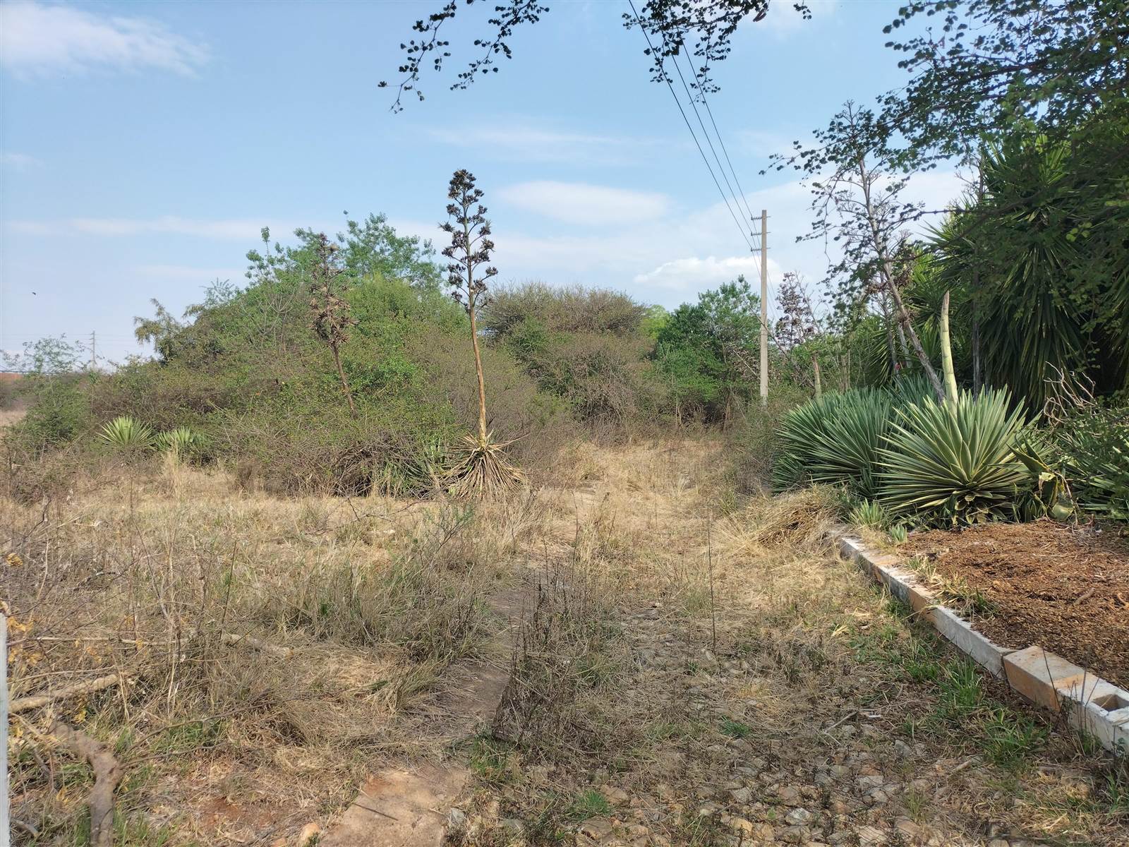 9667 m² Land available in Broadlands photo number 1