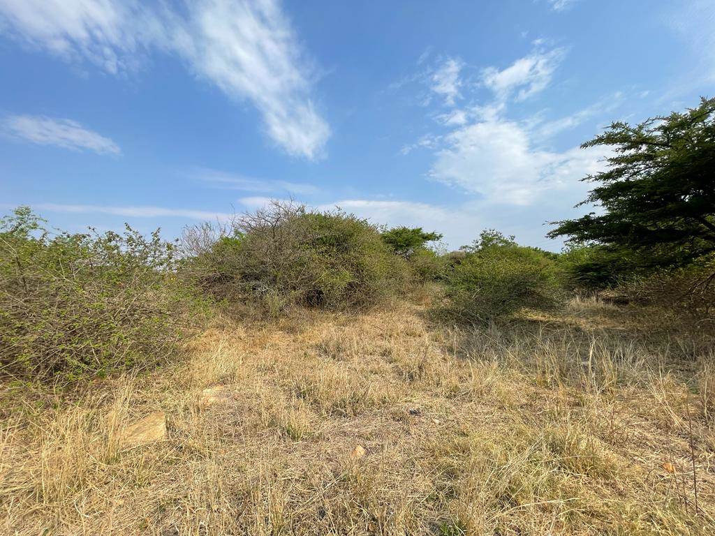 9667 m² Land available in Broadlands photo number 2